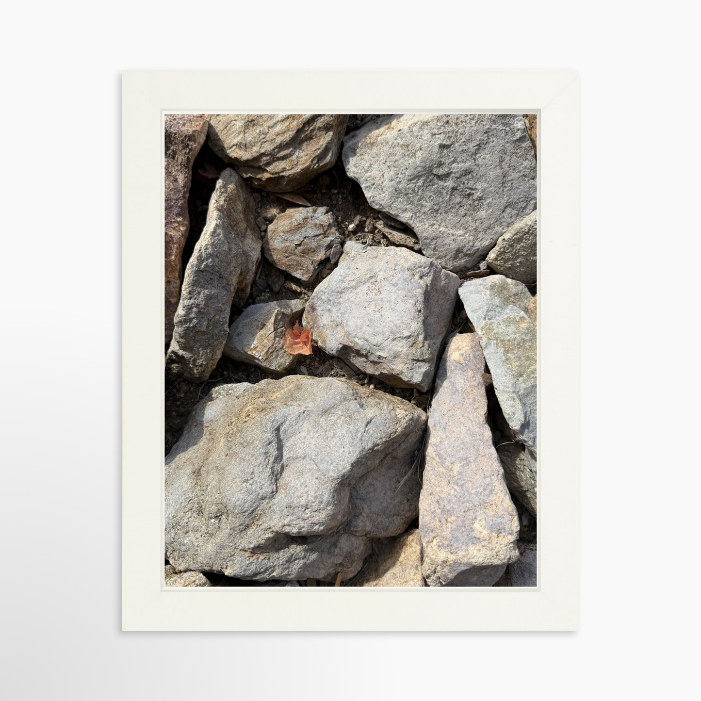 8" x  10" / White / No Mat