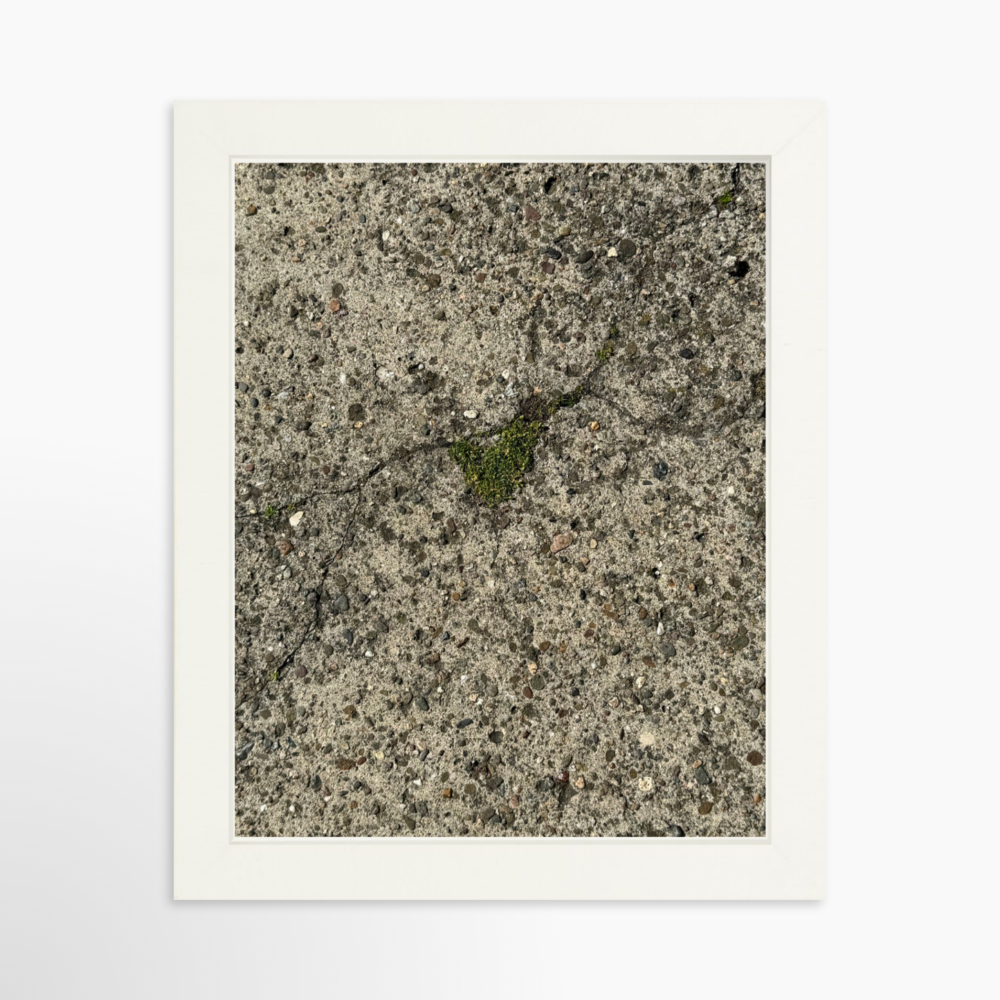 8" x  10" / White / No Mat