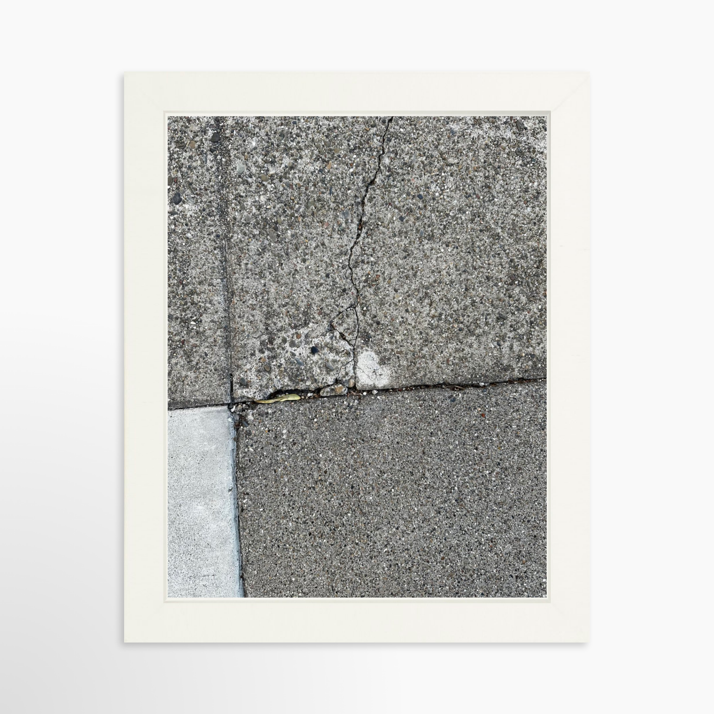 8" x  10" / White / No Mat
