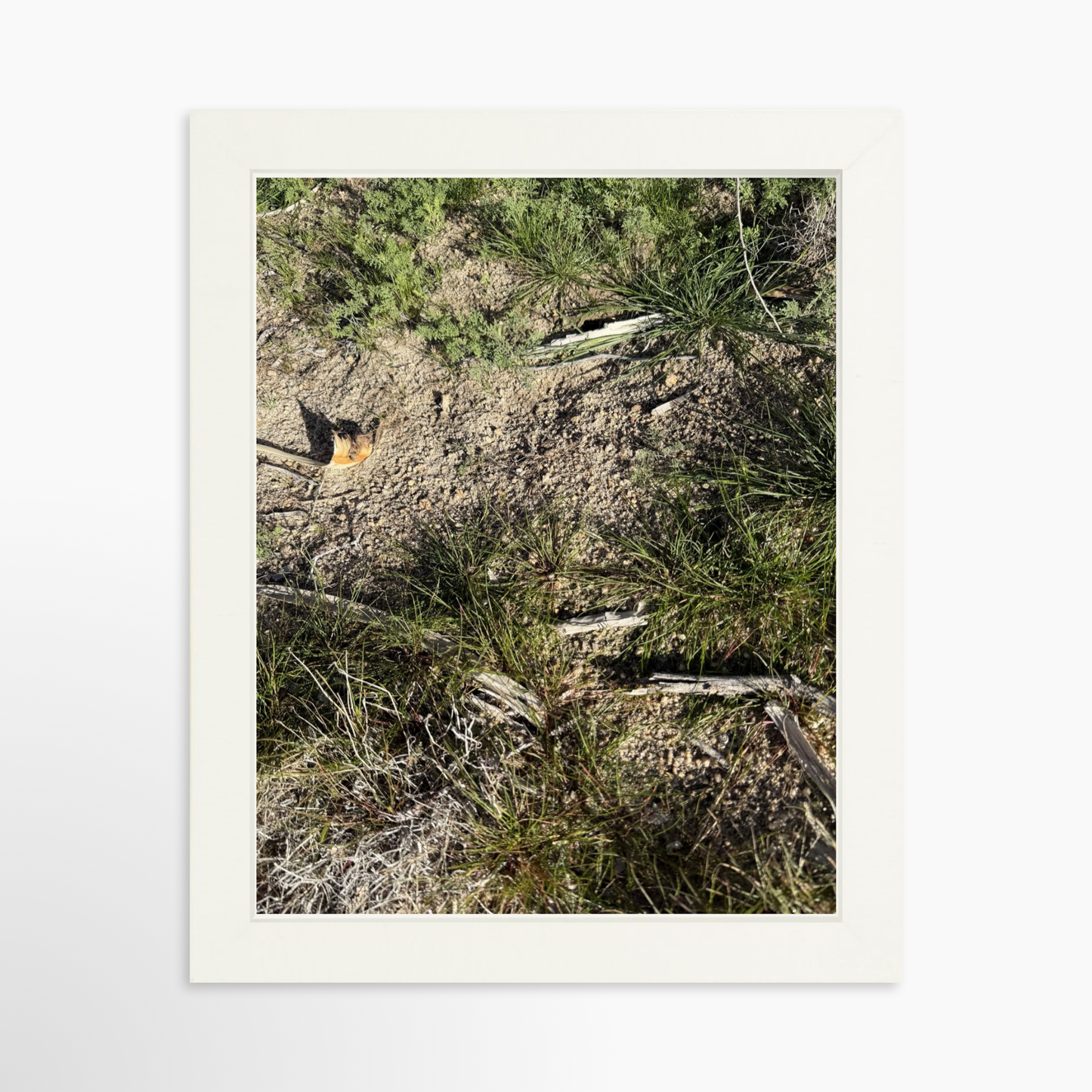 8" x  10" / White / No Mat