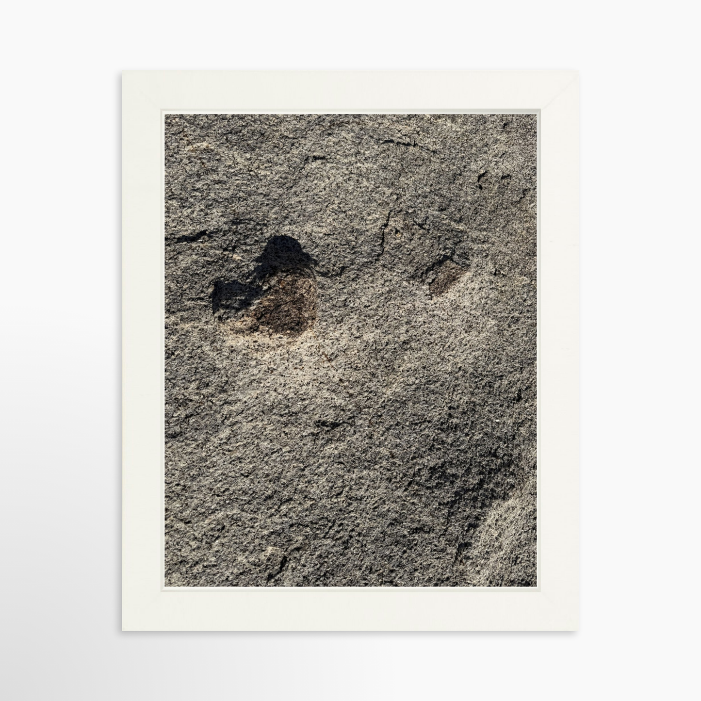 8" x  10" / White / No Mat