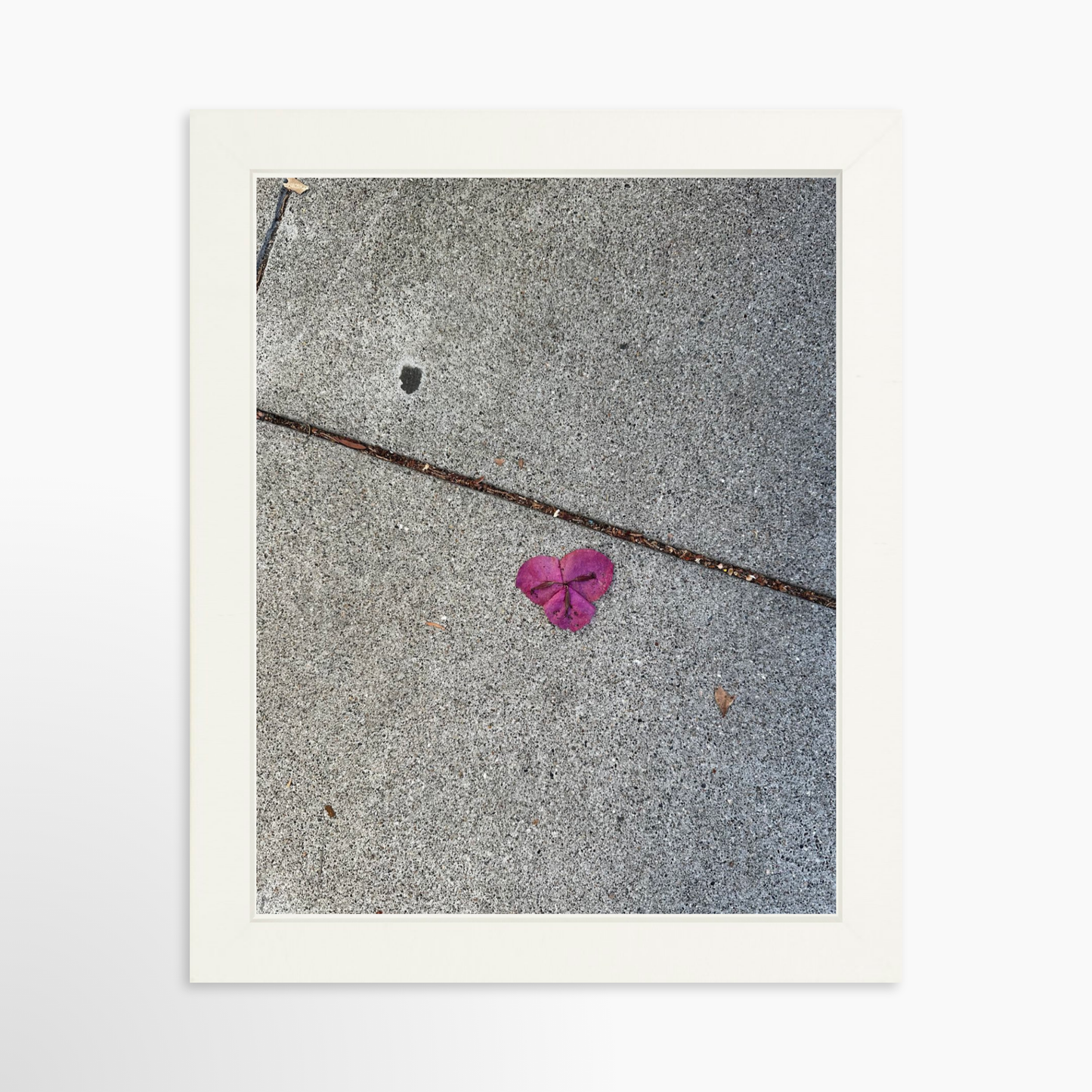 8" x  10" / White / No Mat