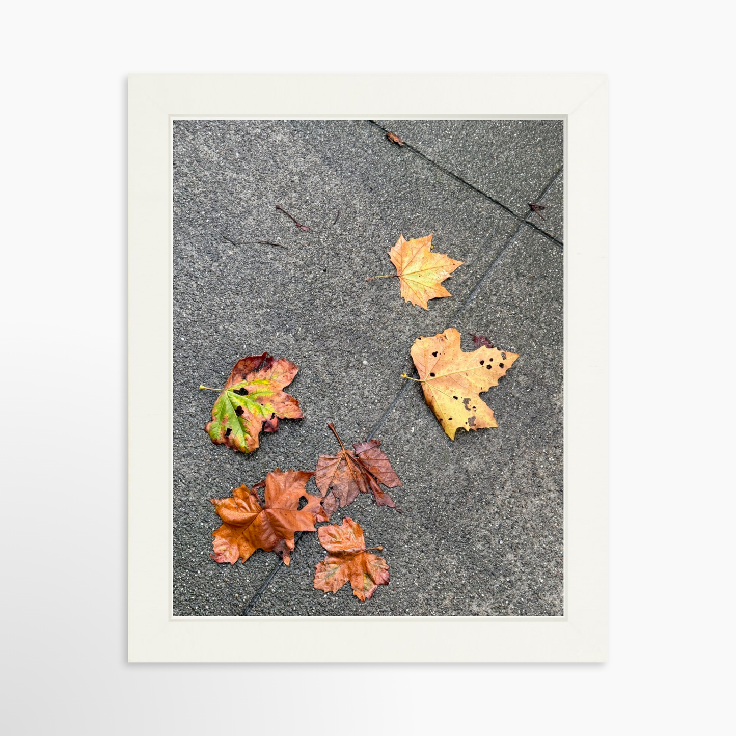8" x  10" / White / No Mat