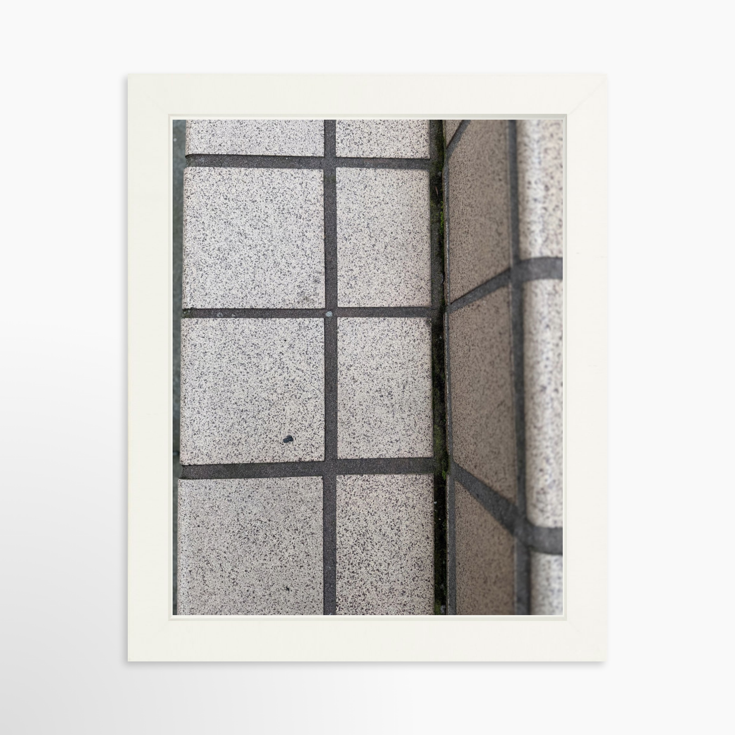 8" x  10" / White / No Mat