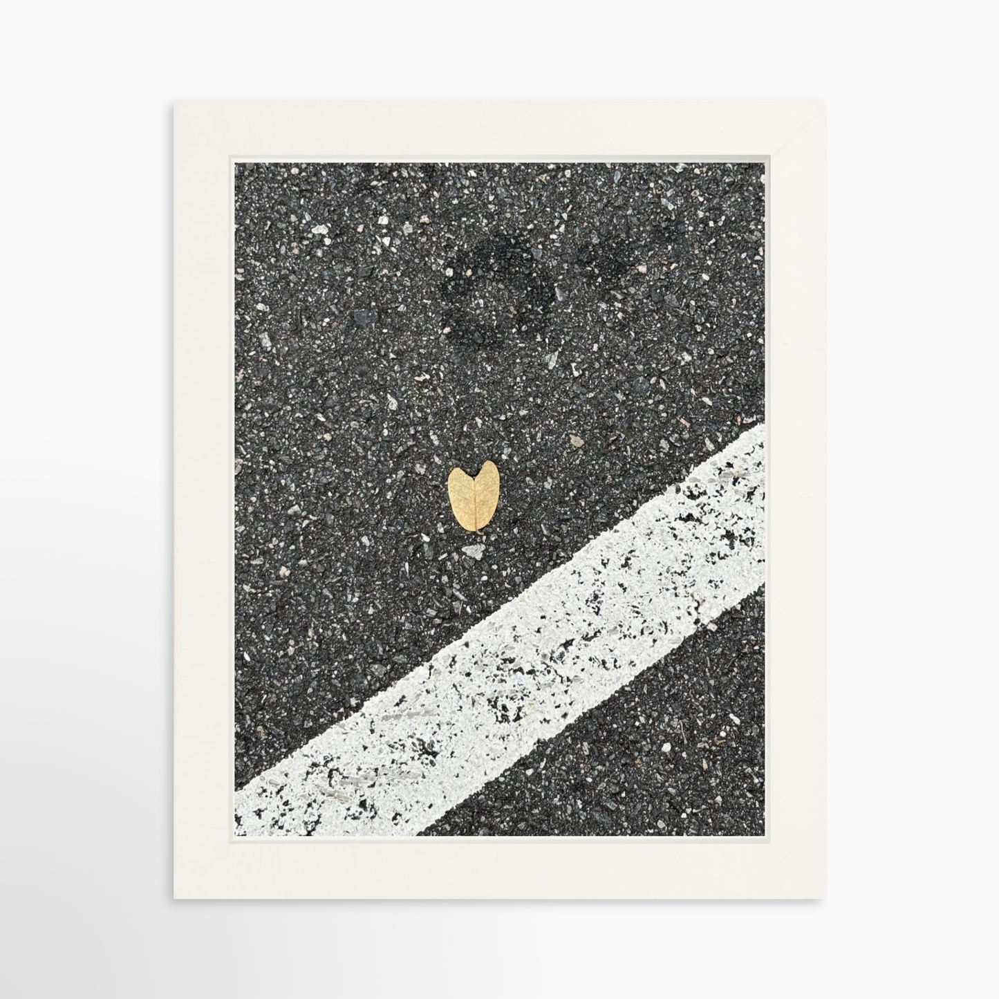8" x  10" / White / No Mat
