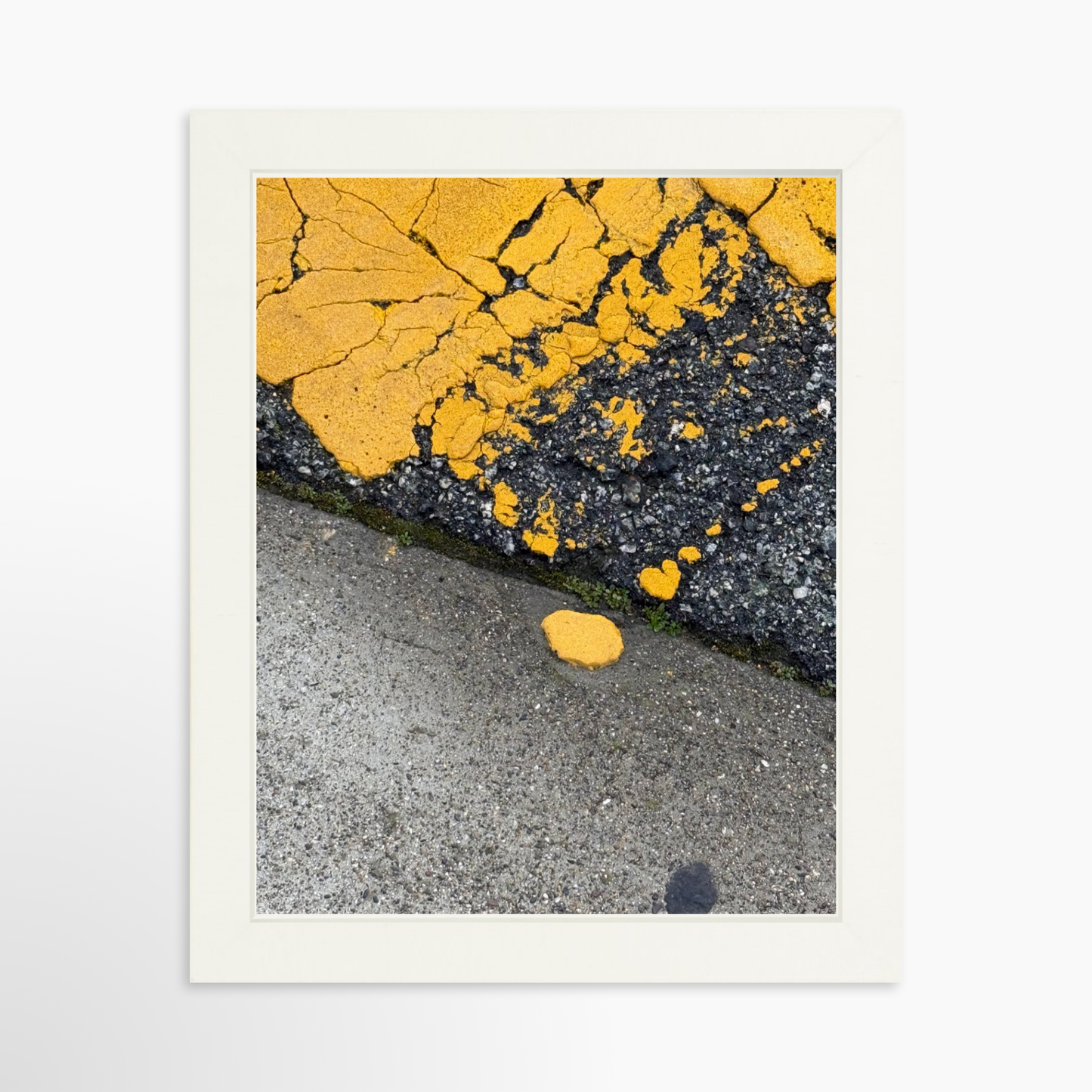 8" x  10" / White / No Mat