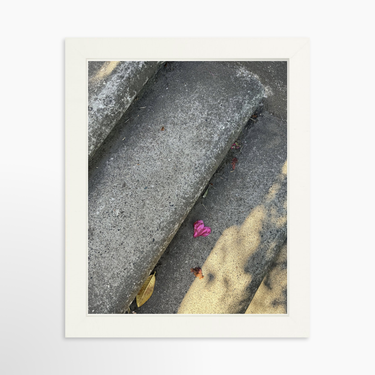 8" x  10" / White / No Mat