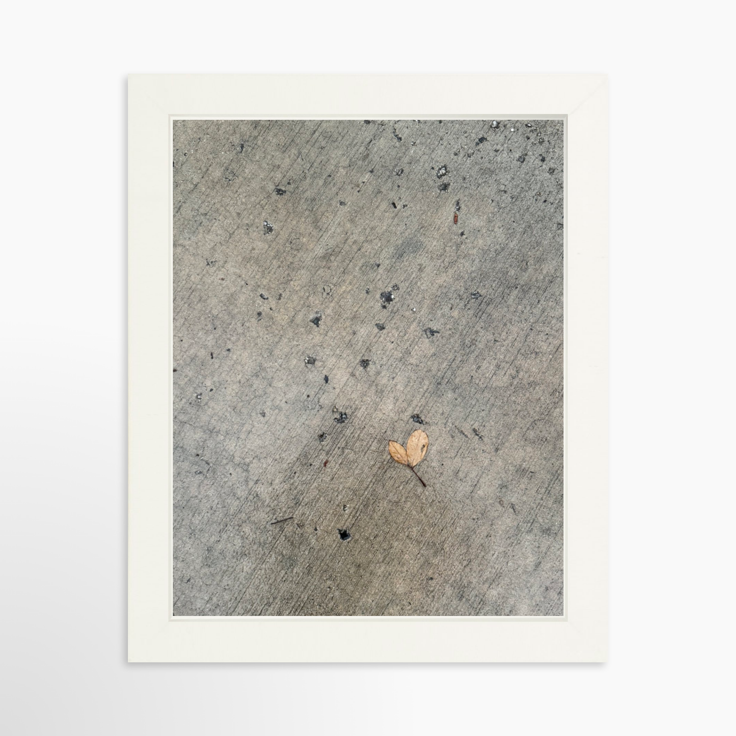 8" x  10" / White / No Mat