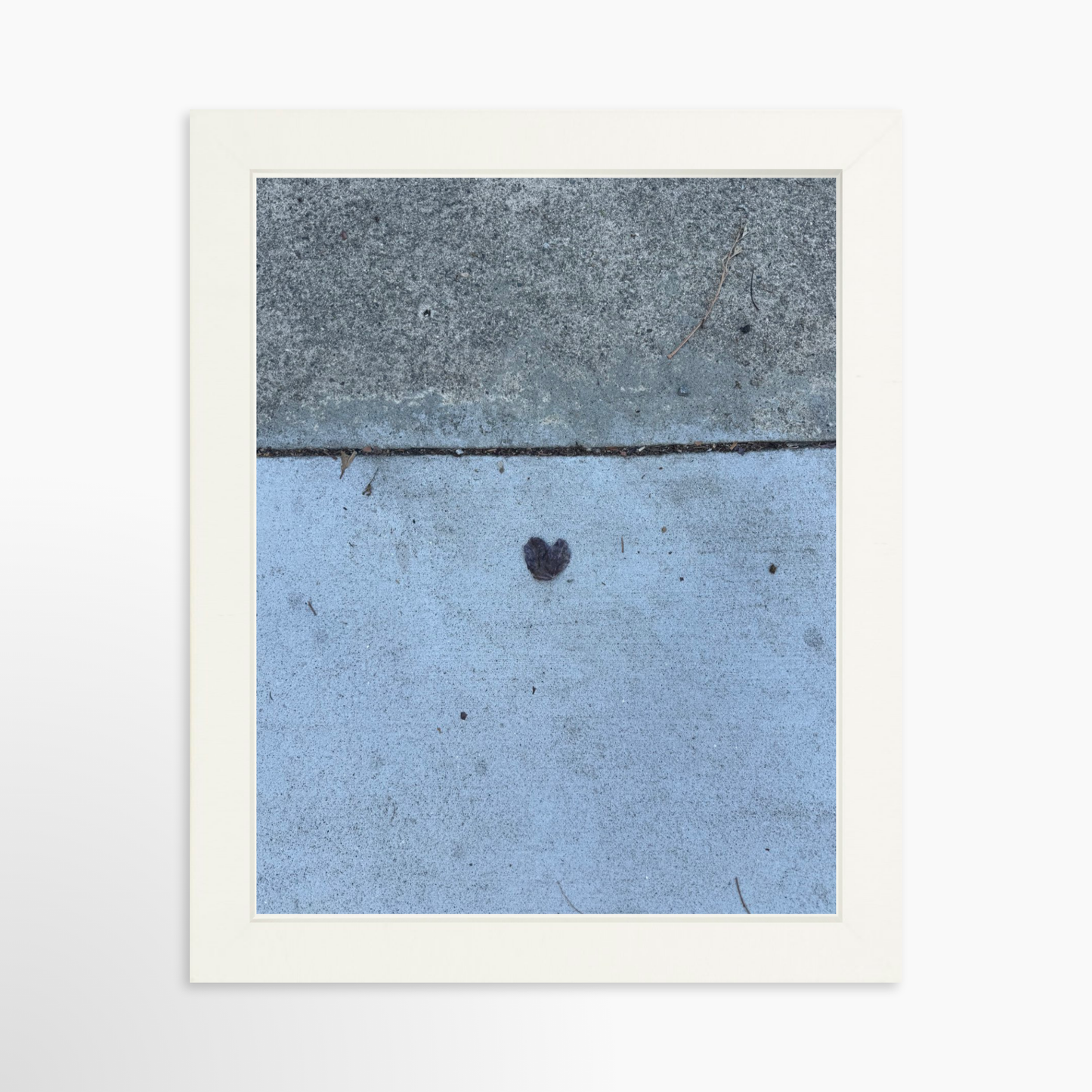 8" x  10" / White / No Mat