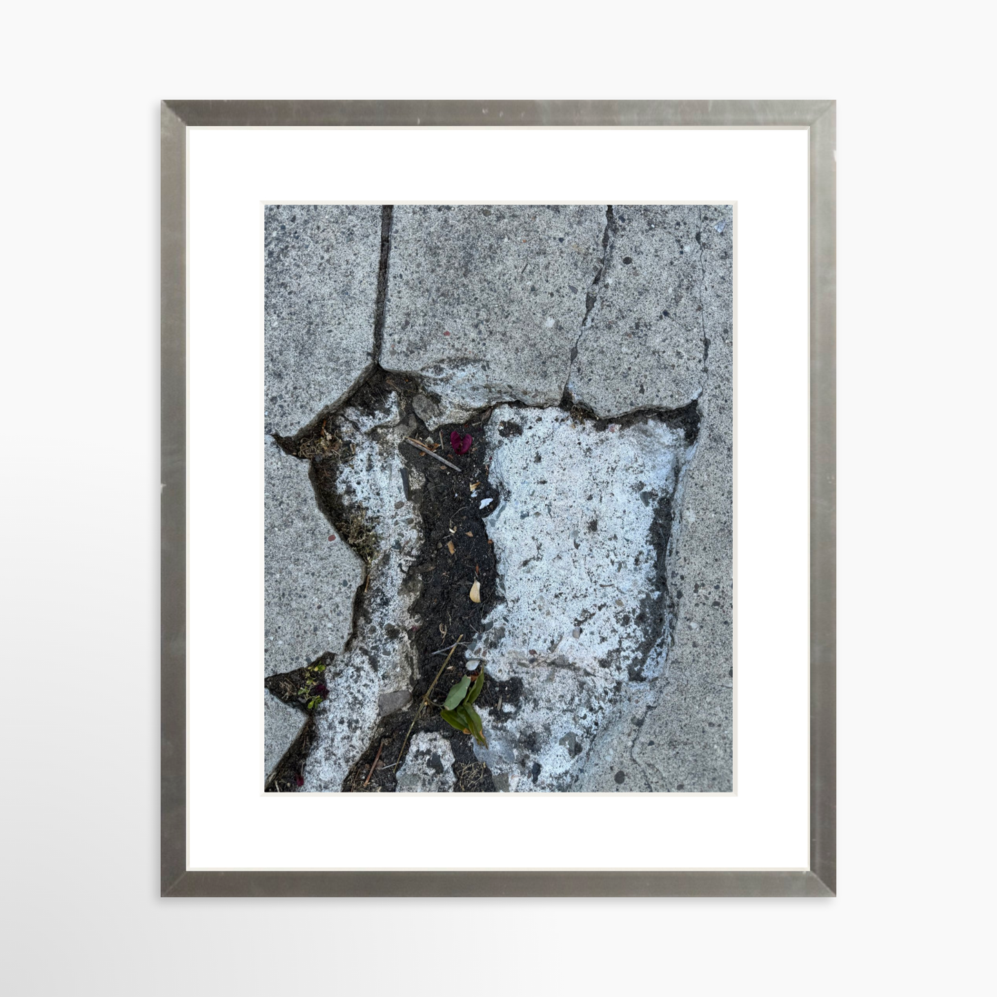 8" x  10" / Silver / Mat