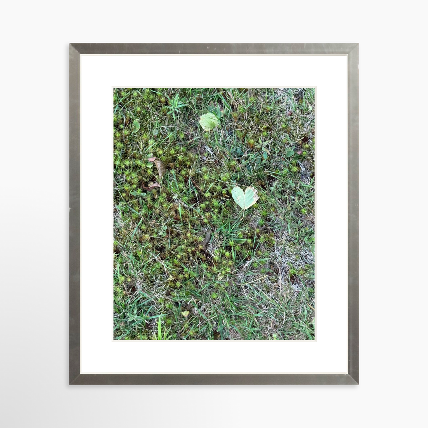8" x  10" / Silver / Mat