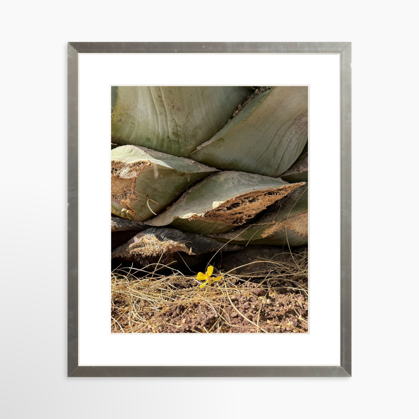 8" x  10" / Silver / Mat