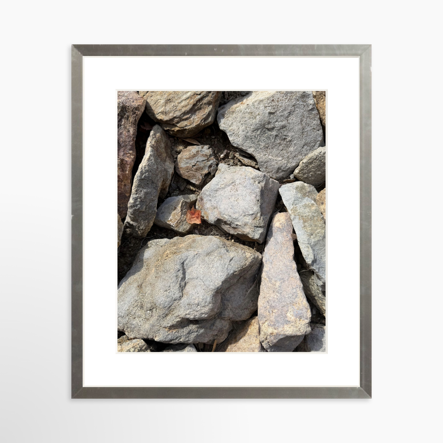 8" x  10" / Silver / Mat