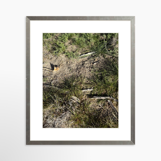 8" x  10" / Silver / Mat