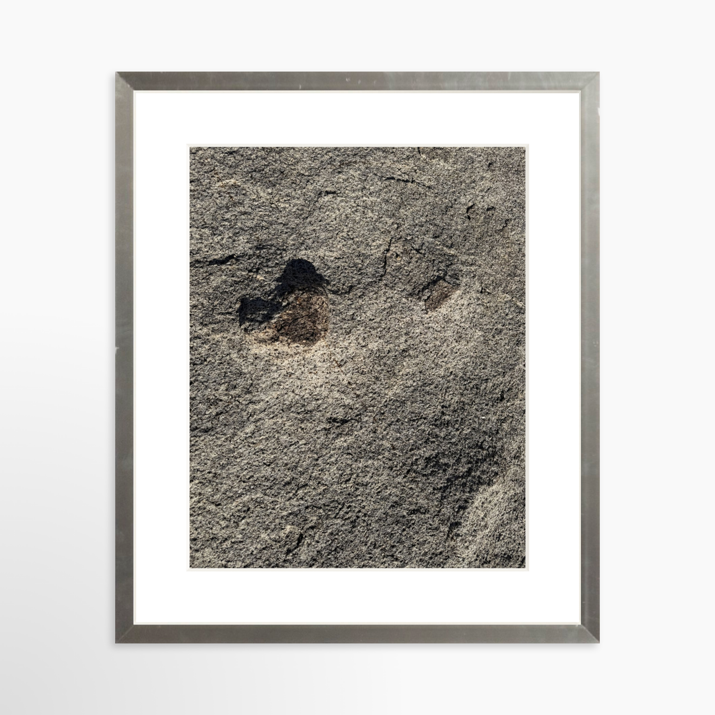 8" x  10" / Silver / Mat