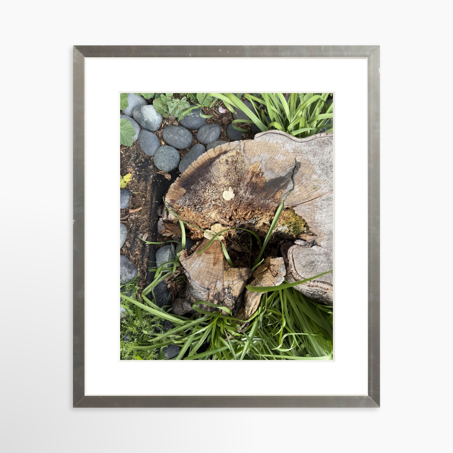 8" x  10" / Silver / Mat