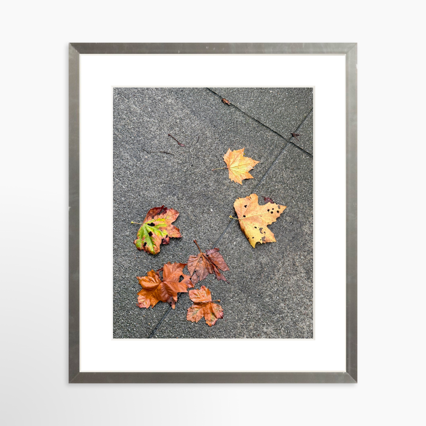 8" x  10" / Silver / Mat