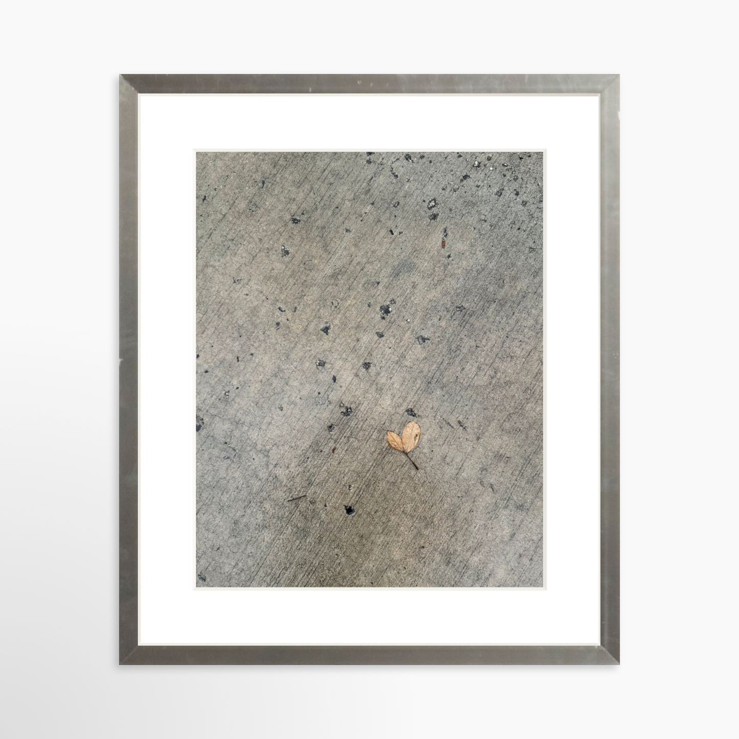 8" x  10" / Silver / Mat