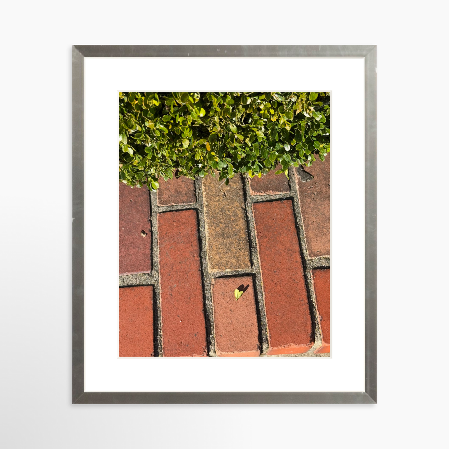 8" x  10" / Silver / Mat