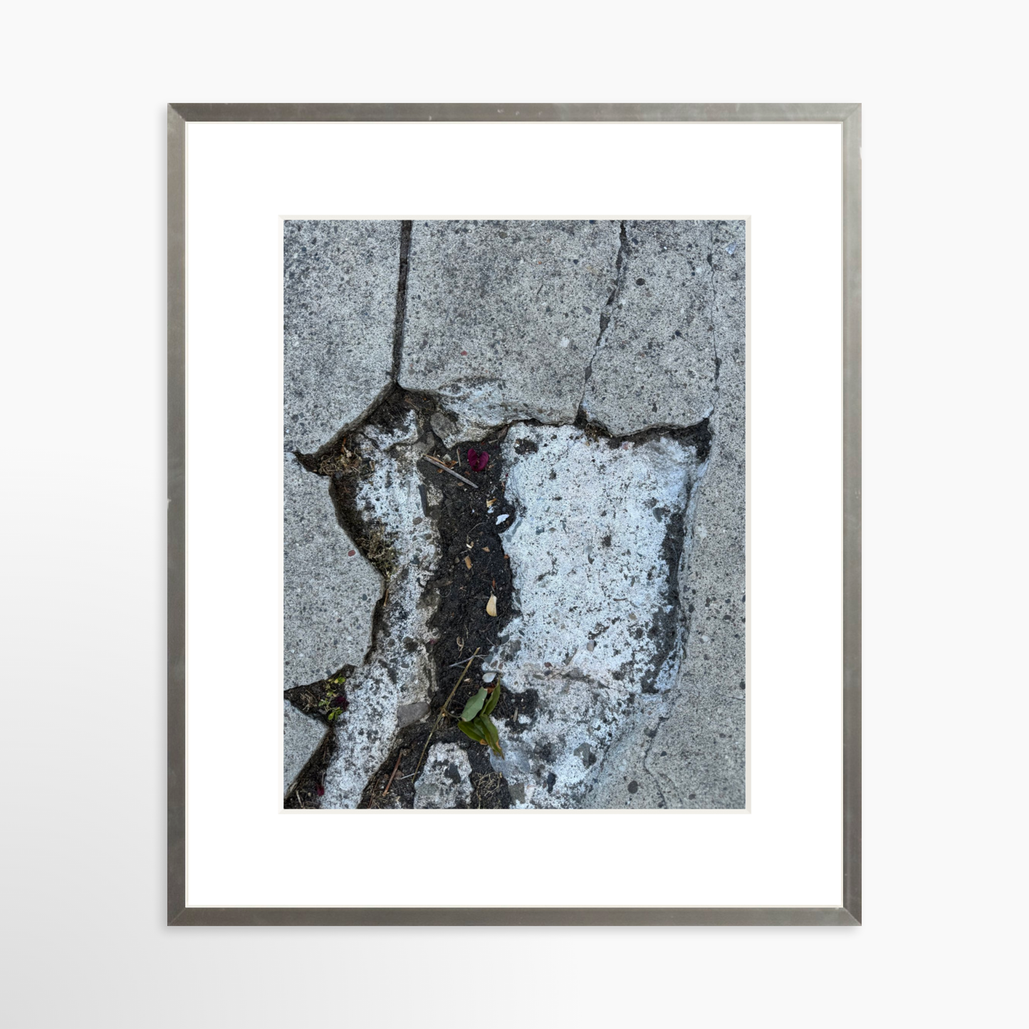 11" x 14" / Silver / Mat