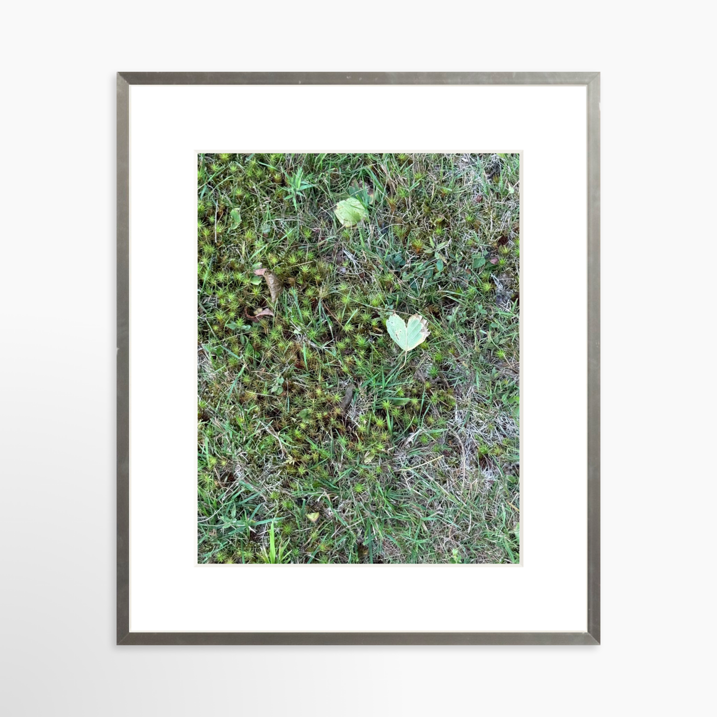11" x 14" / Silver / Mat
