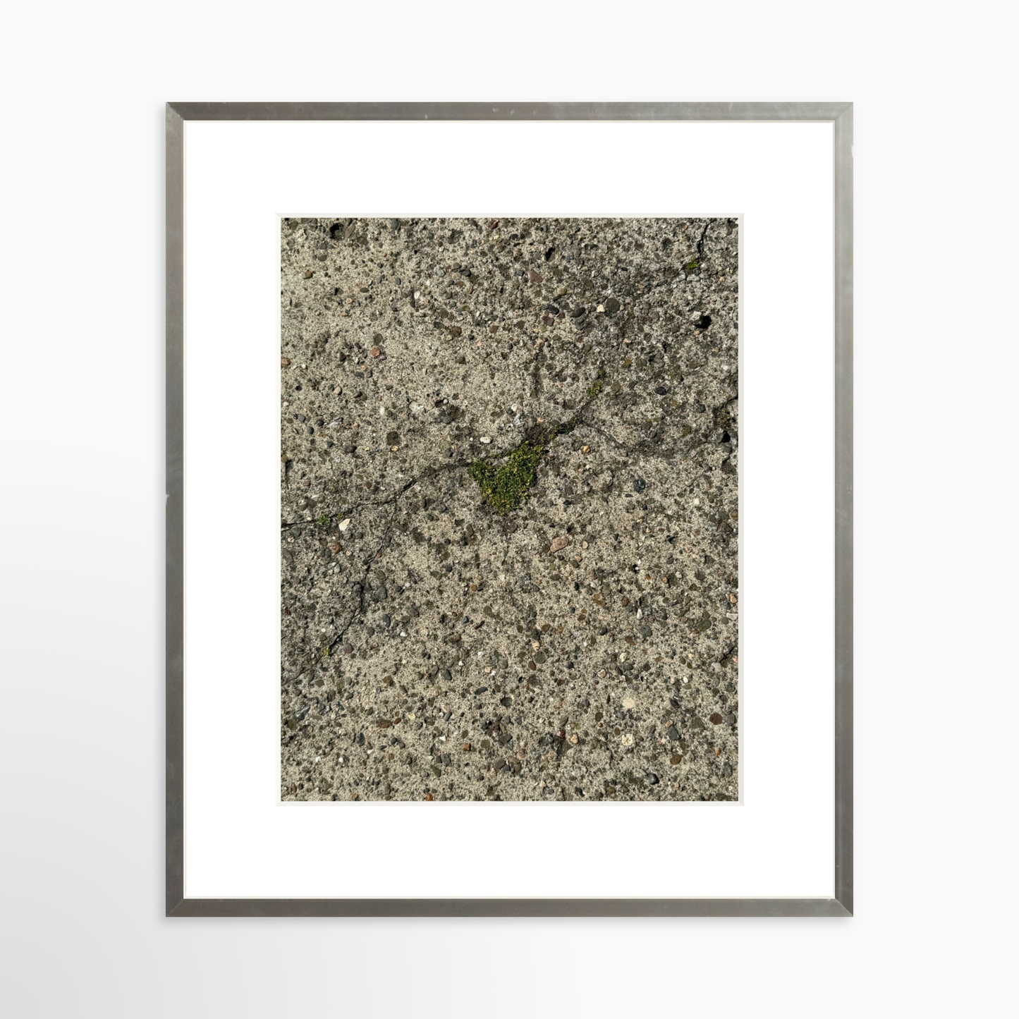 11" x 14" / Silver / Mat