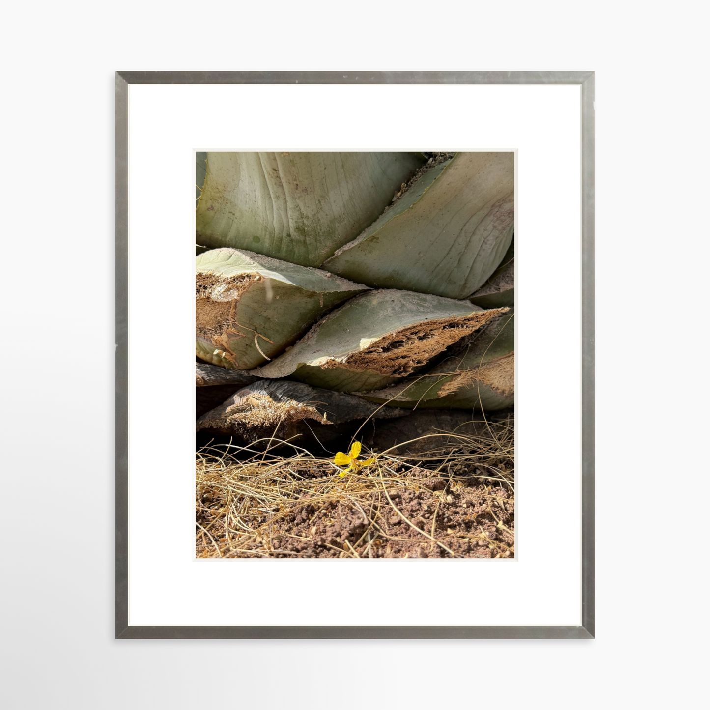 11" x 14" / Silver / Mat