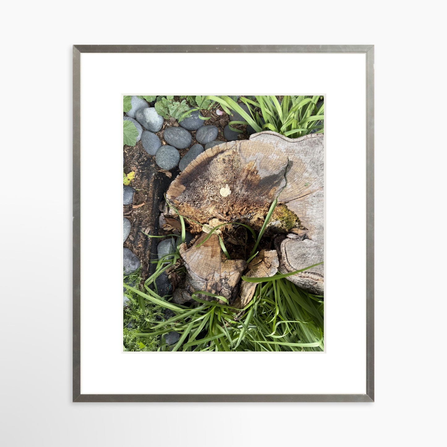 11" x 14" / Silver / Mat