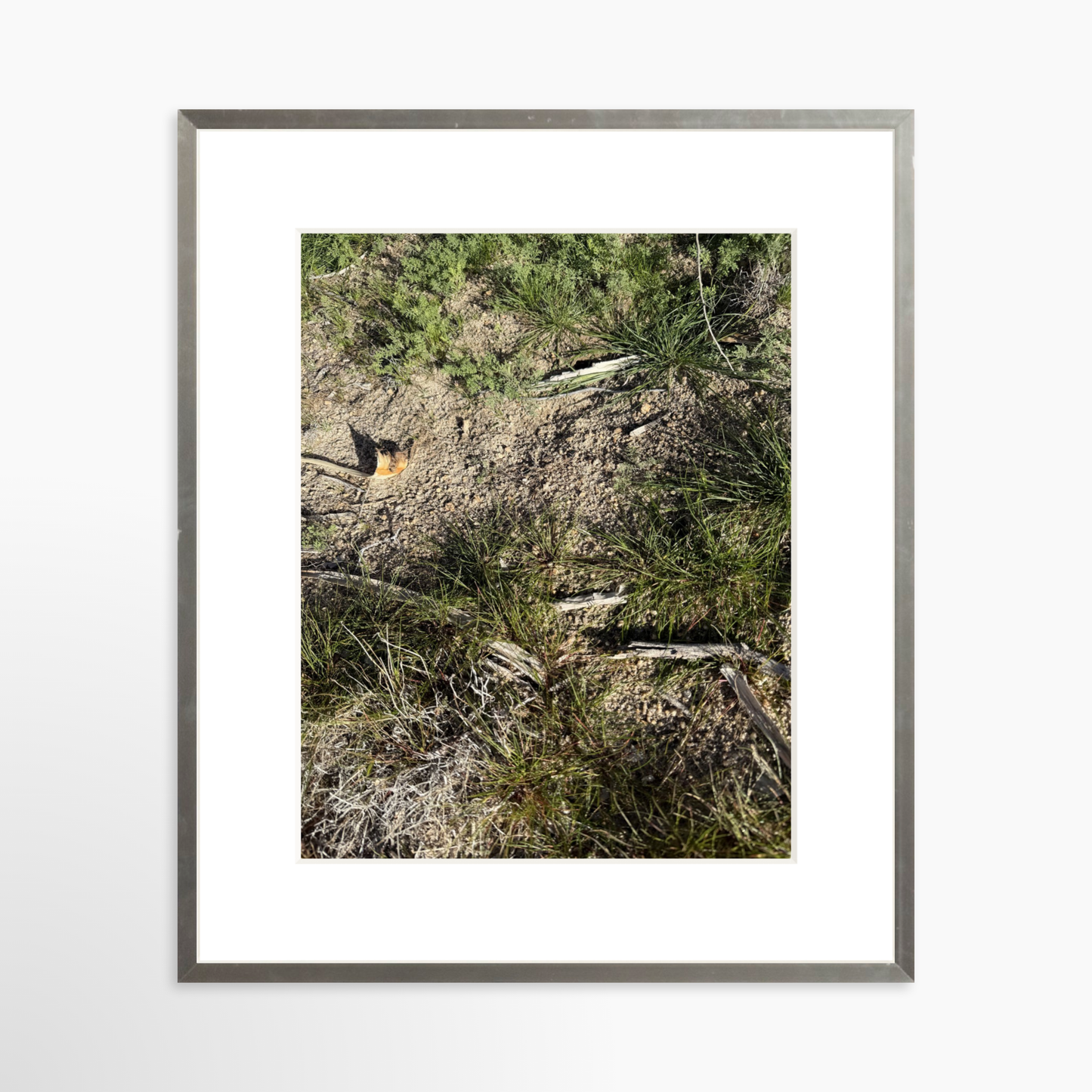 11" x 14" / Silver / Mat