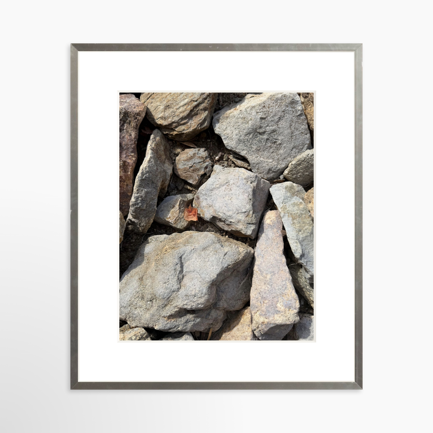 11" x 14" / Silver / Mat