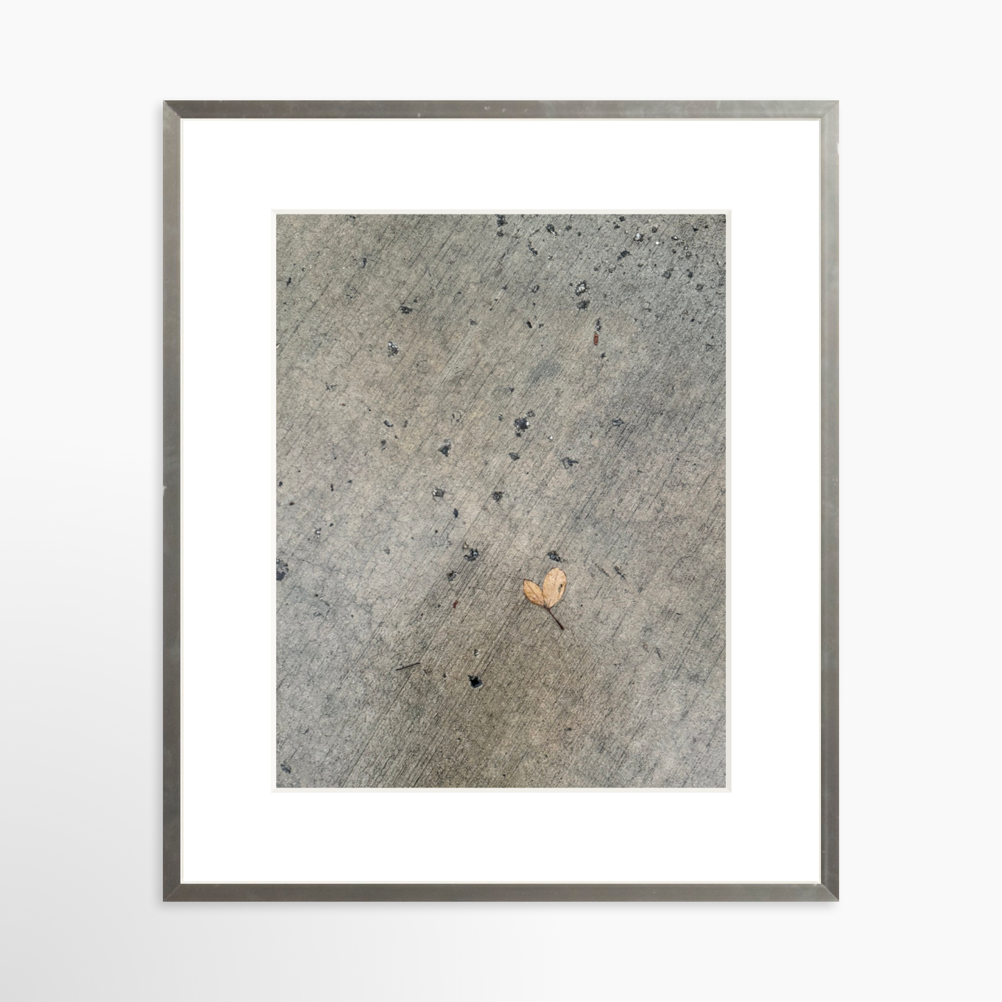 11" x 14" / Silver / Mat