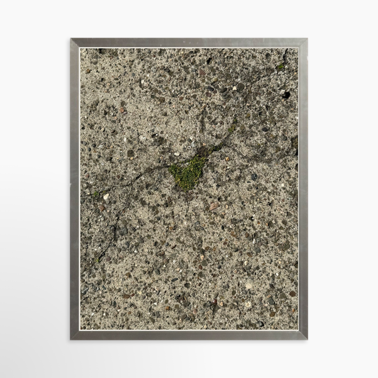 11" x 14" / Silver / No Mat