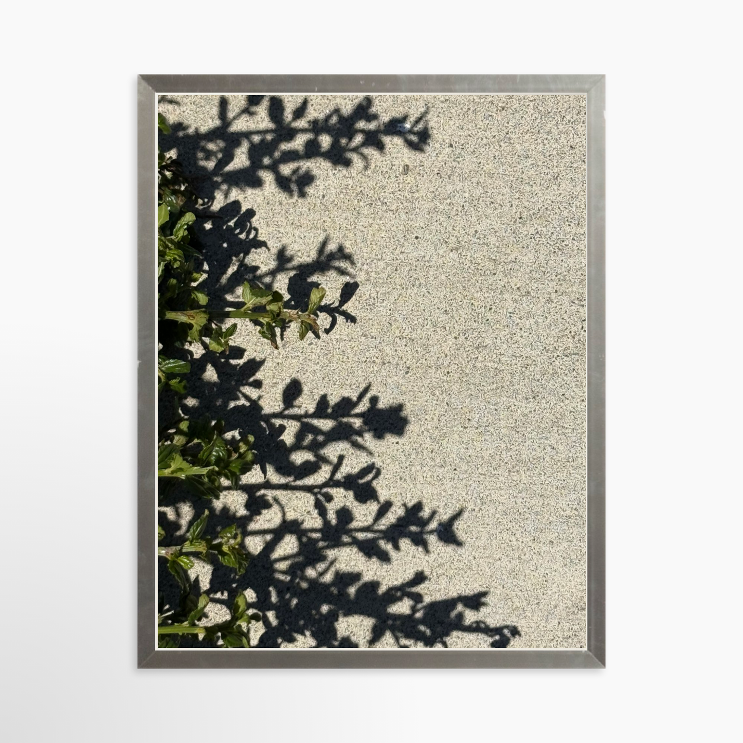 11" x 14" / Silver / No Mat