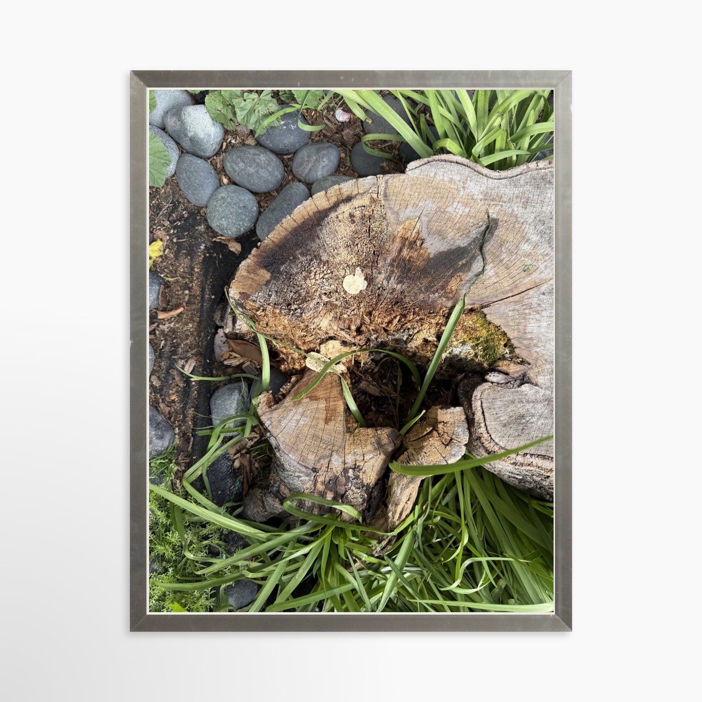 11" x 14" / Silver / No Mat