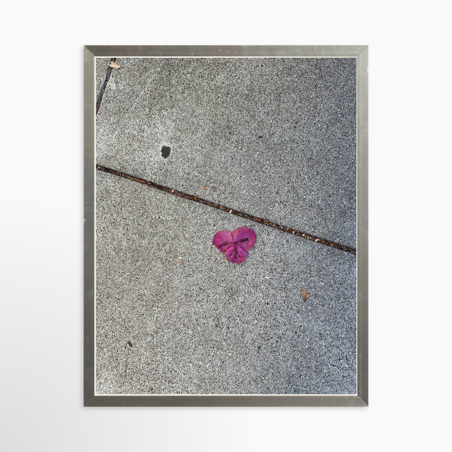 11" x 14" / Silver / No Mat