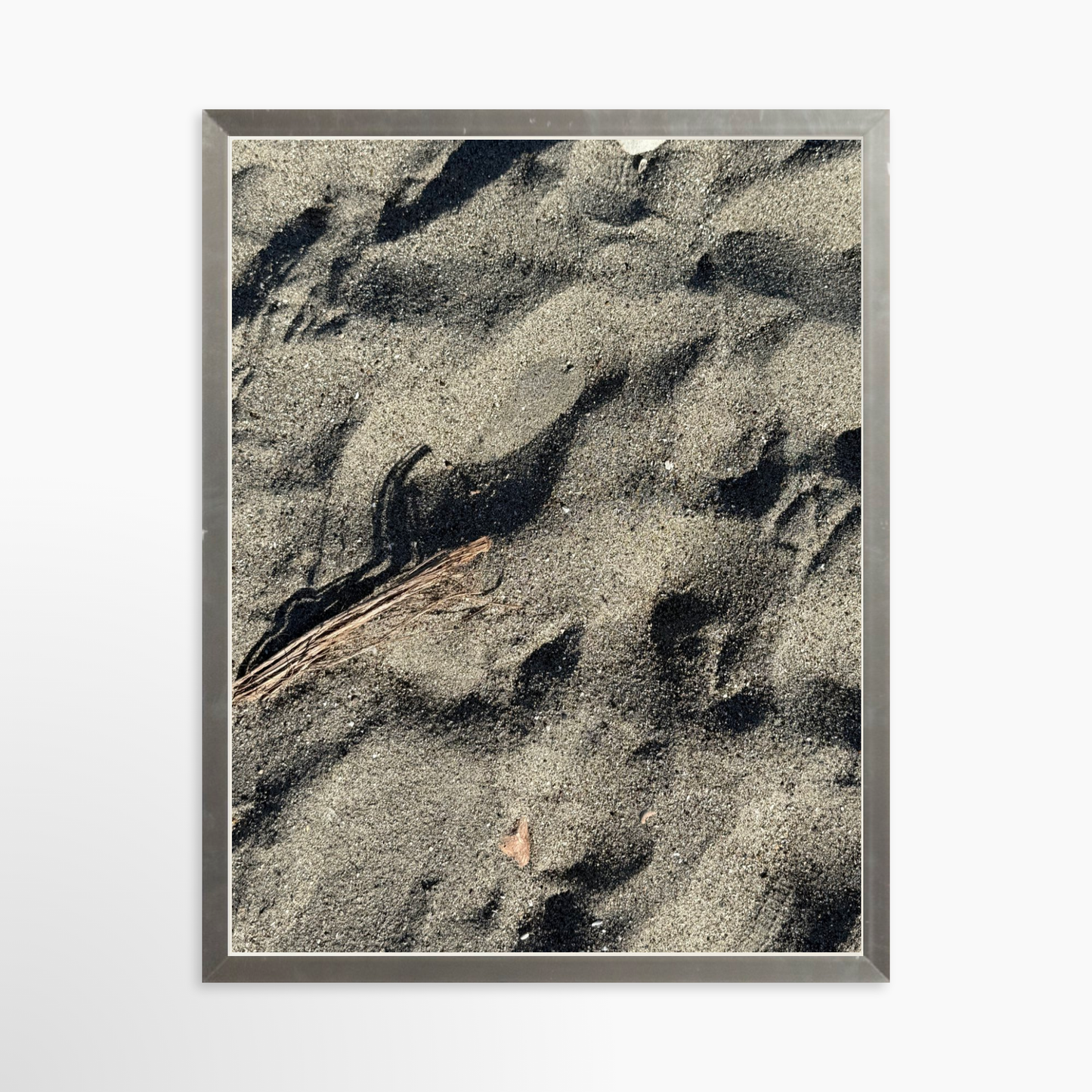 11" x 14" / Silver / No Mat