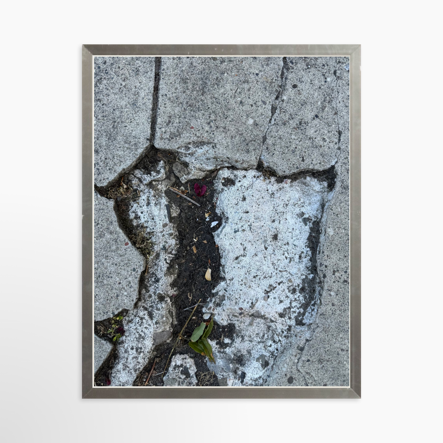 11" x 14" / Silver / No Mat