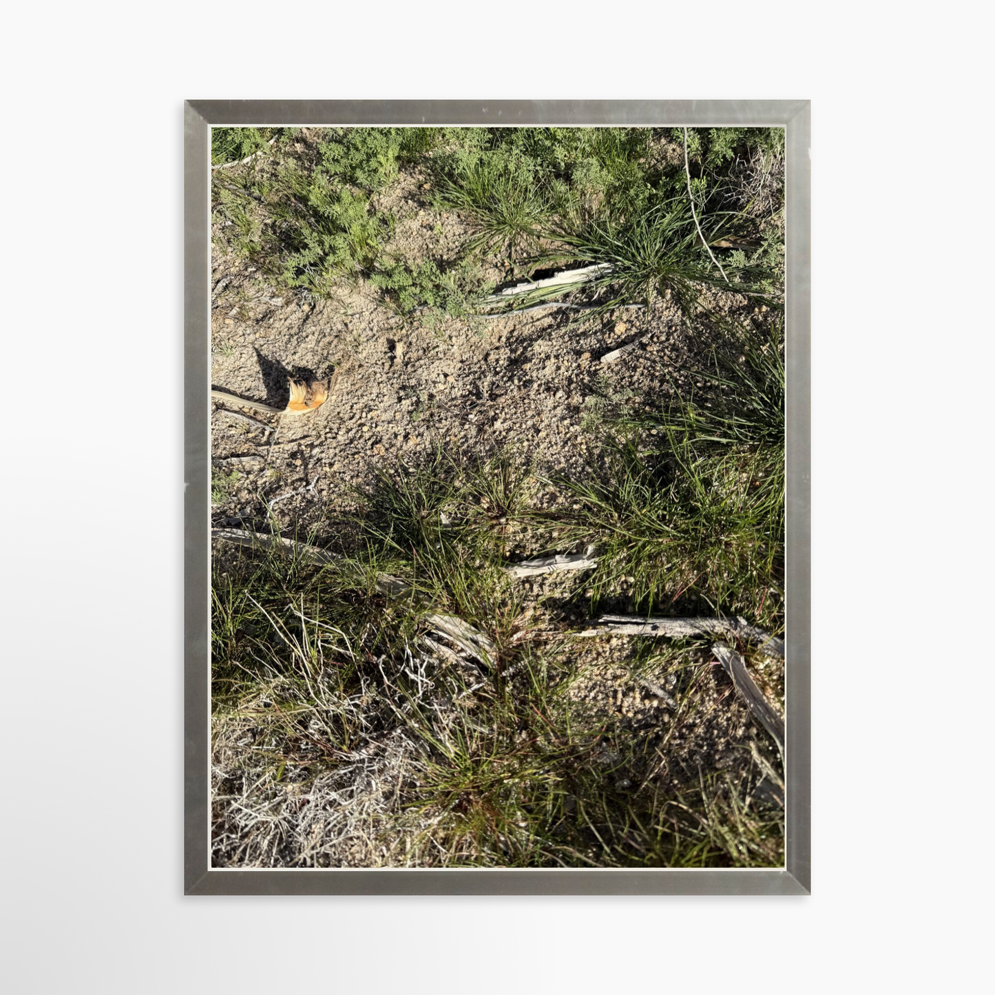 11" x 14" / Silver / No Mat