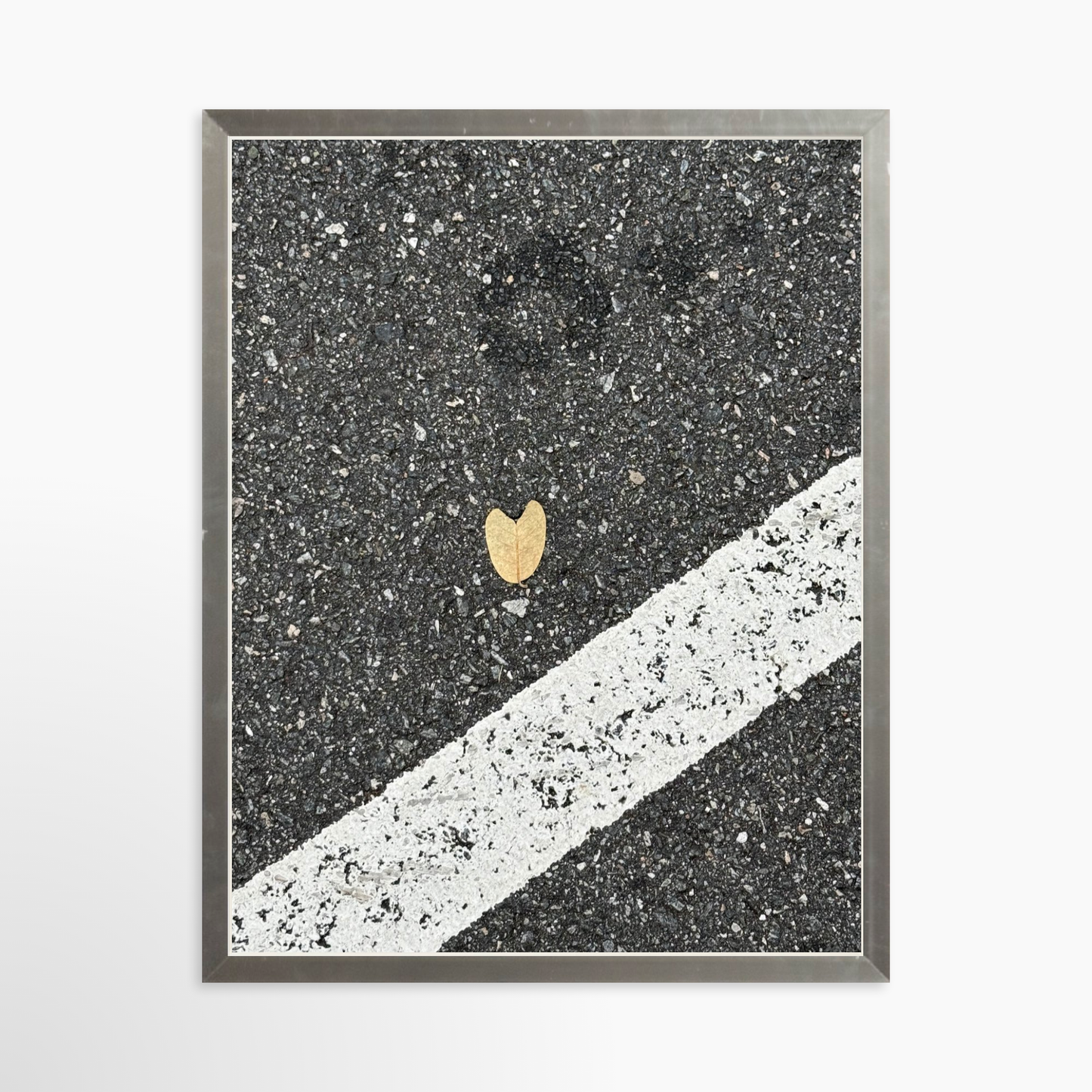11" x 14" / Silver / No Mat