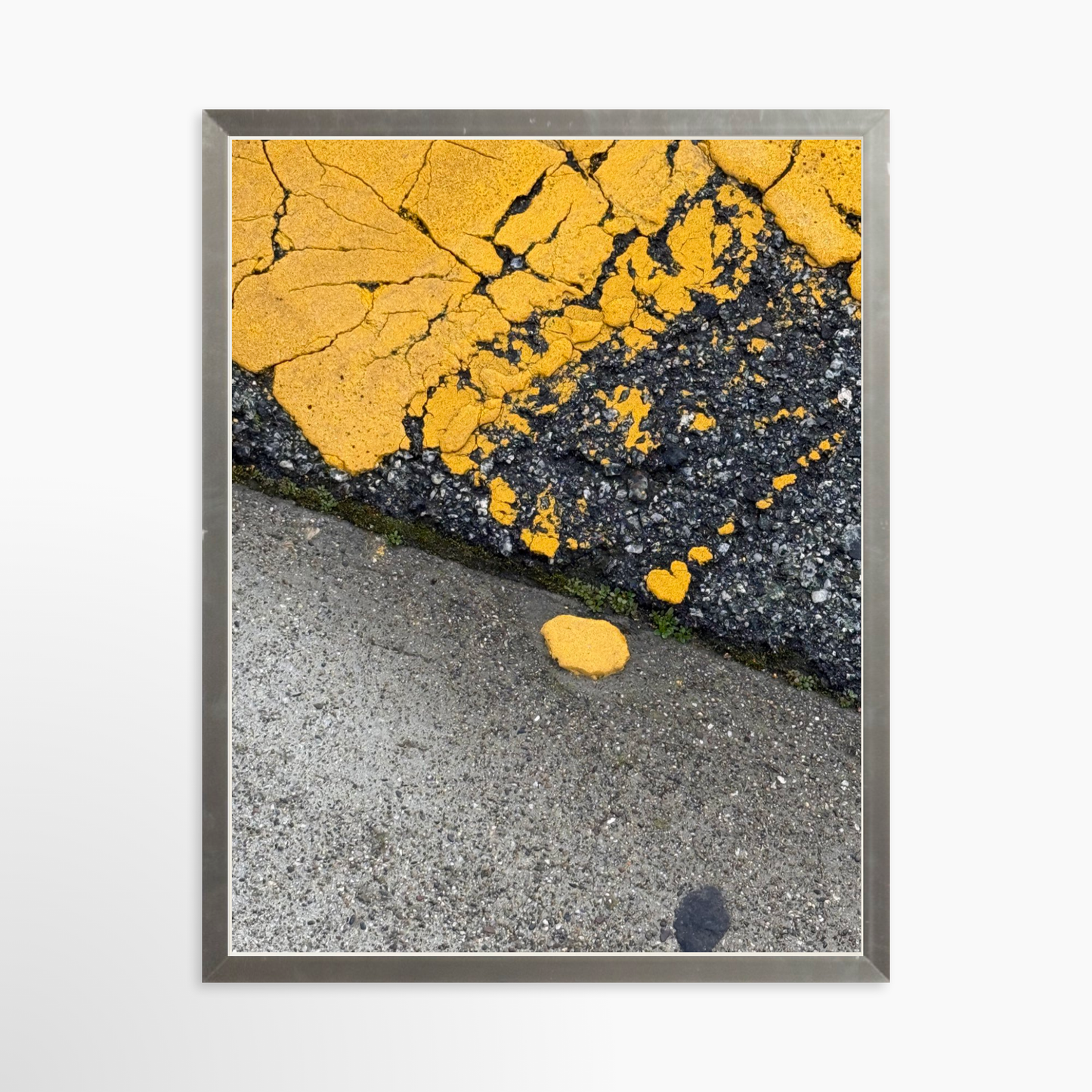 11" x 14" / Silver / No Mat