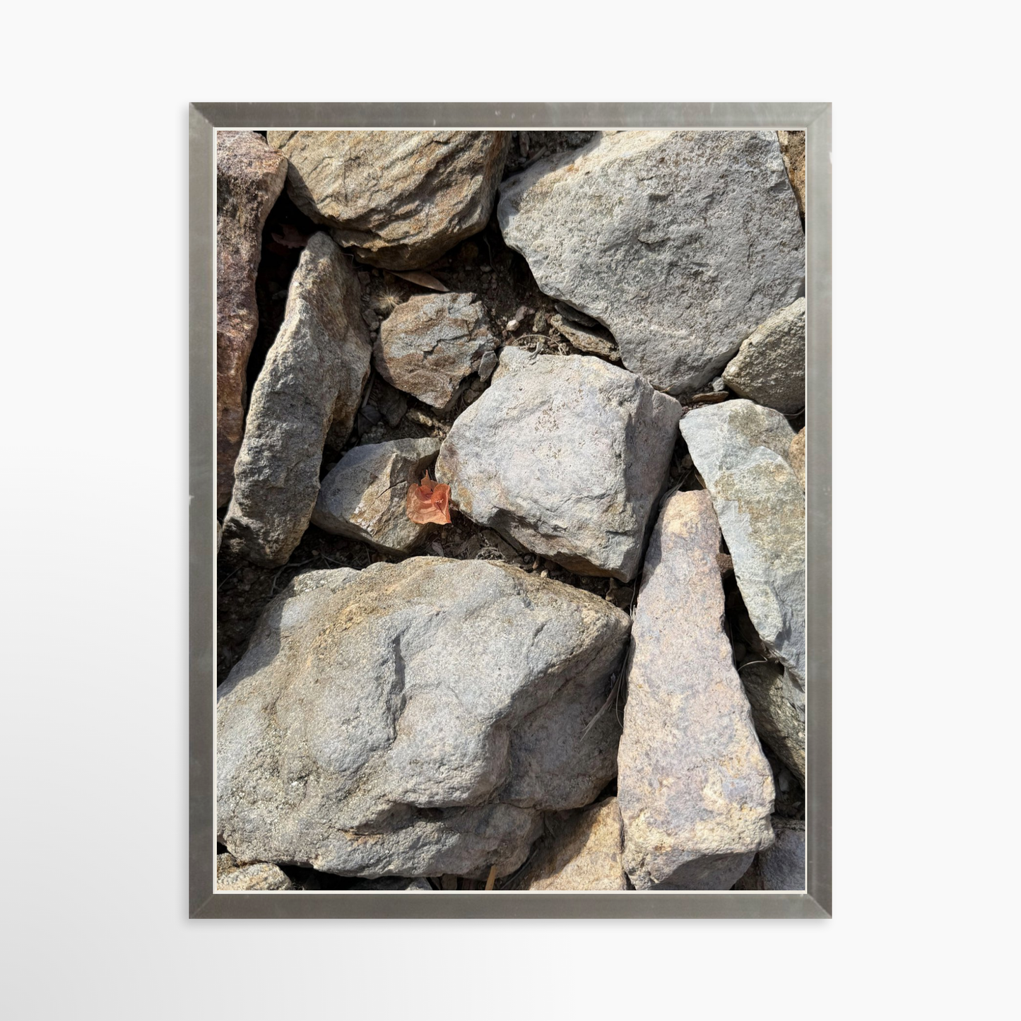 11" x 14" / Silver / No Mat