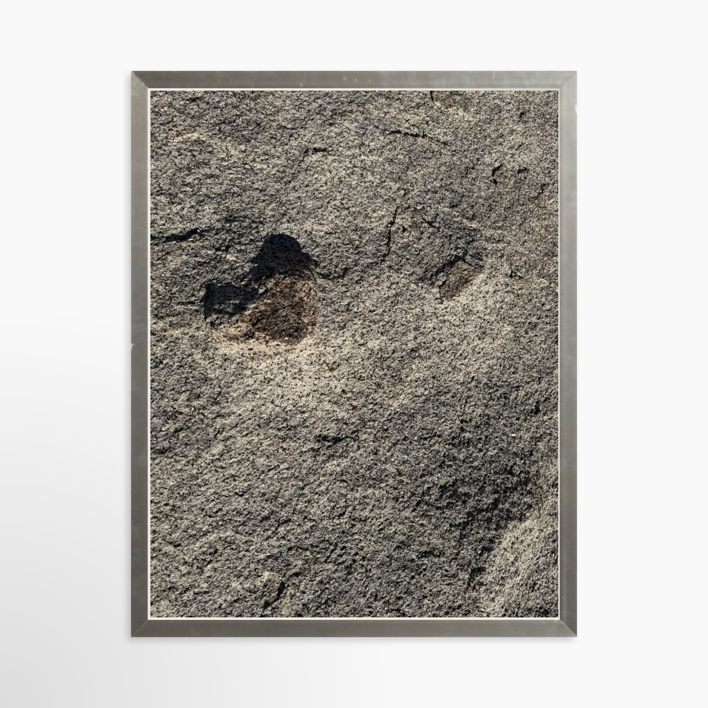 11" x 14" / Silver / No Mat