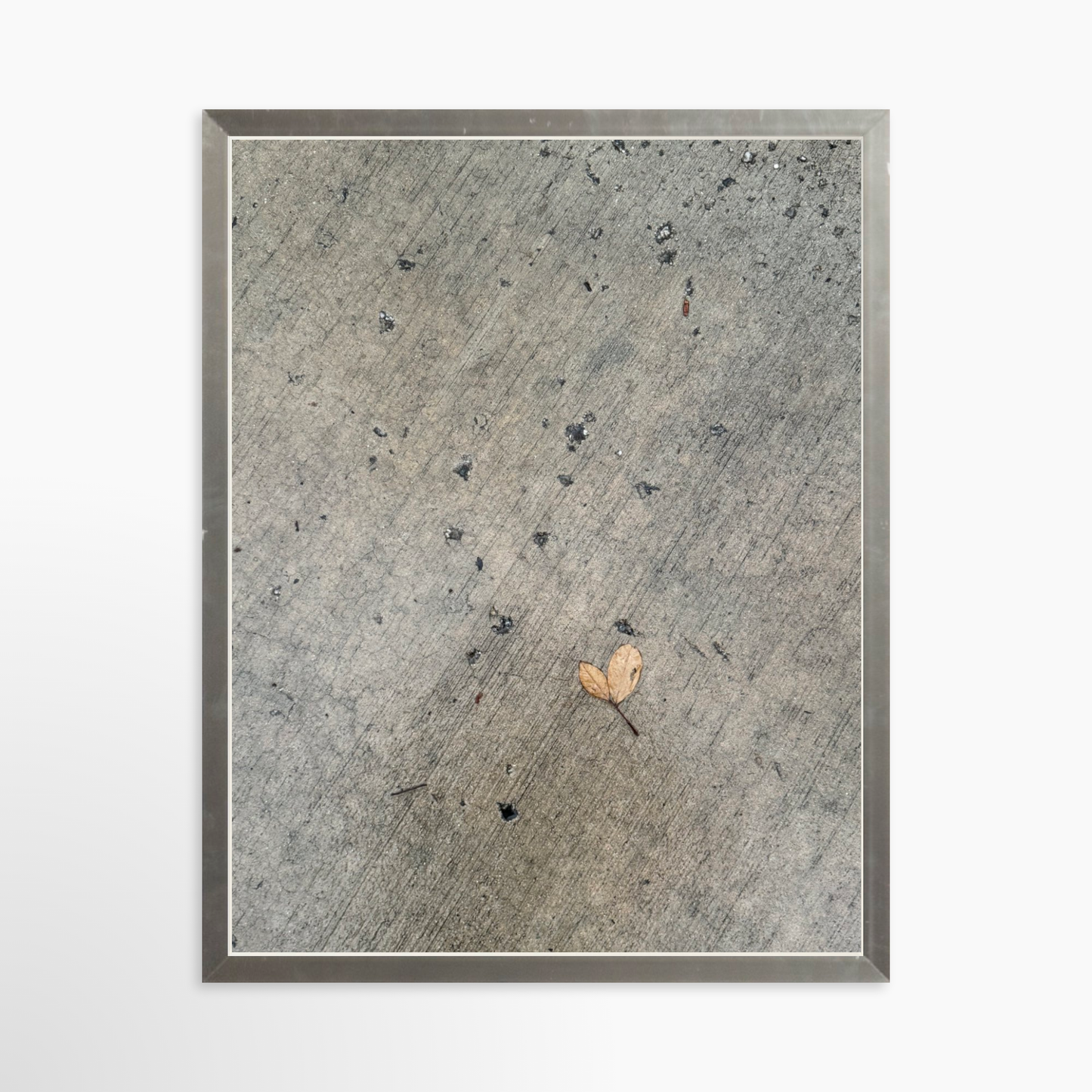 11" x 14" / Silver / No Mat