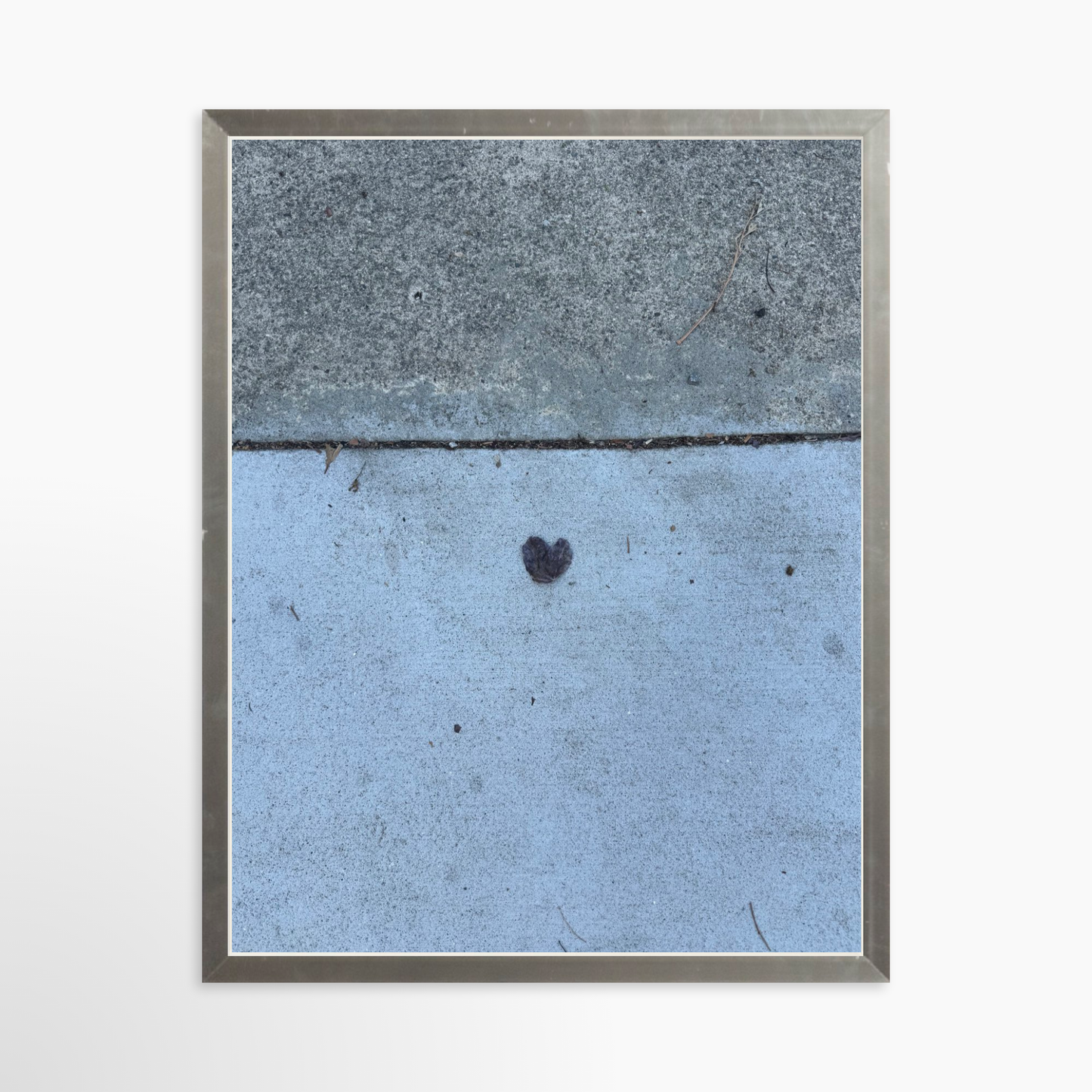 11" x 14" / Silver / No Mat