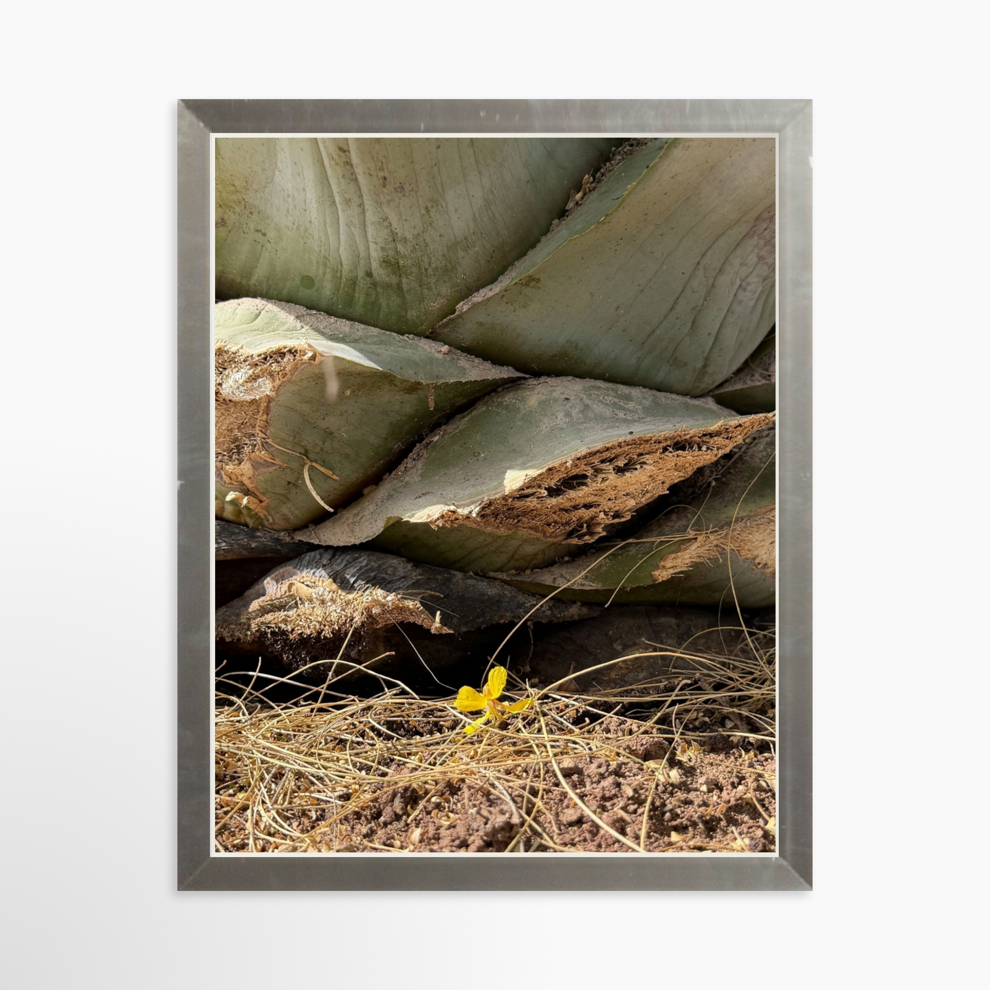 8" x  10" / Silver / No Mat