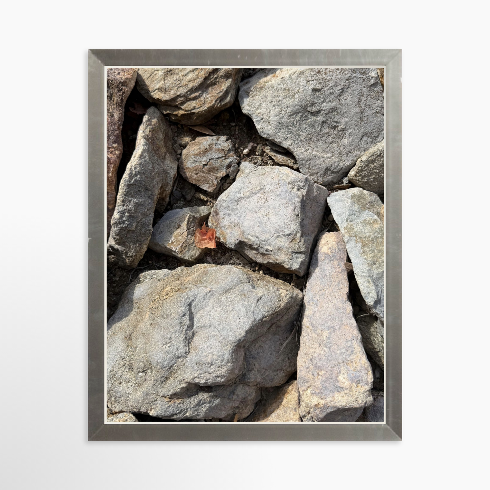 8" x  10" / Silver / No Mat