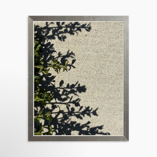 8" x  10" / Silver / No Mat