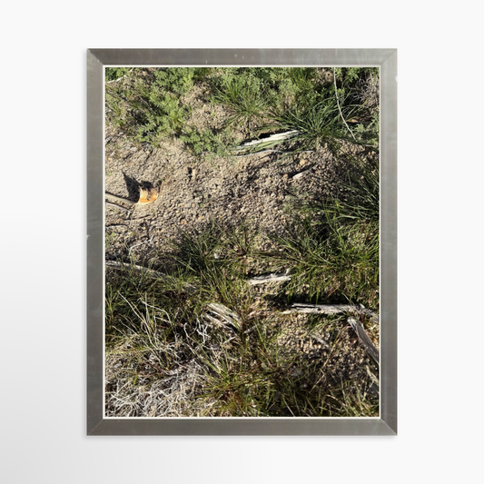 8" x  10" / Silver / No Mat