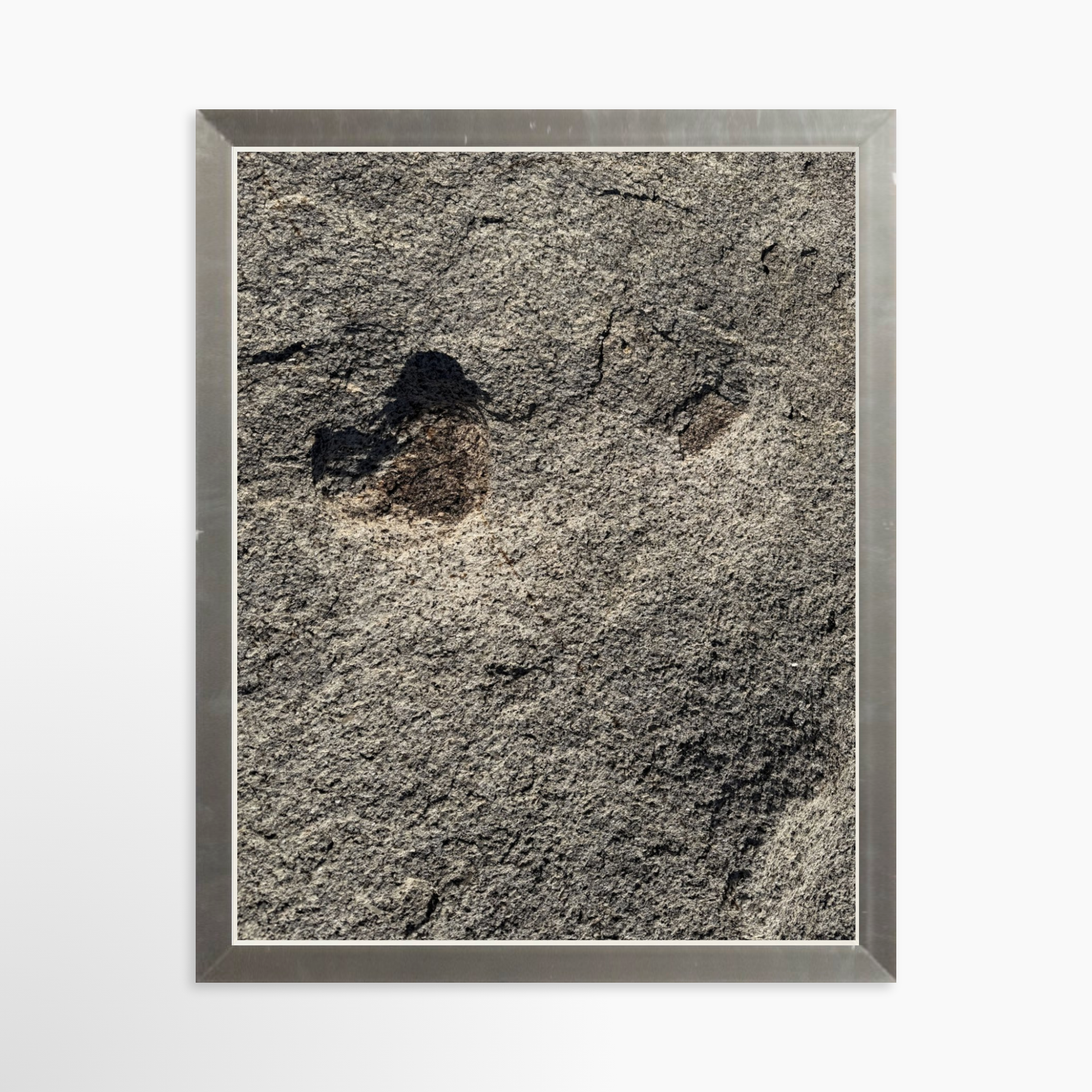 8" x  10" / Silver / No Mat