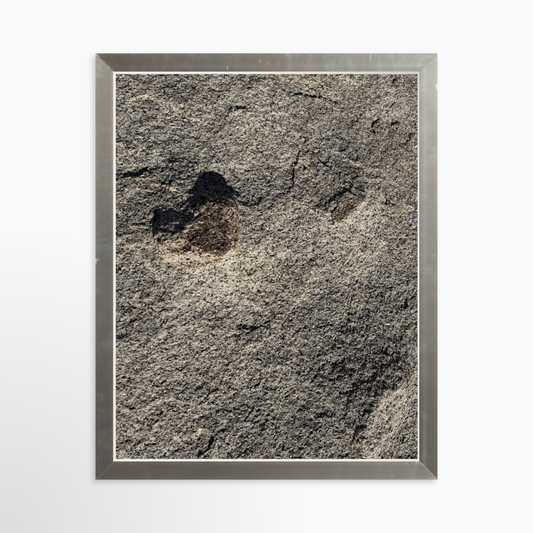 8" x  10" / Silver / No Mat